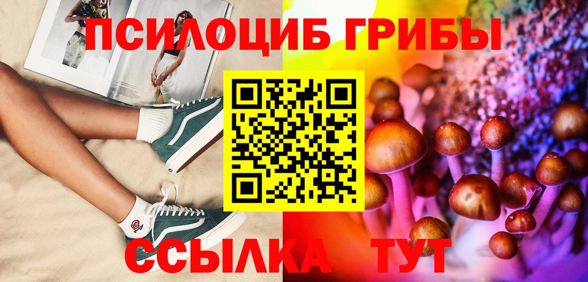 Галлюциногенные грибы Psilocybe  Вход с VPN  наркошоп  Псилоцибиновые грибы Psilocybe  Тимашёвск 