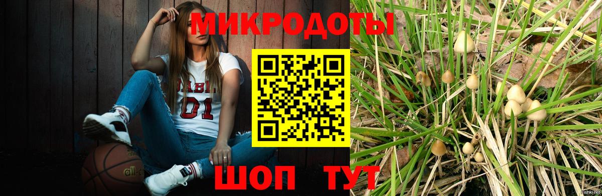 Псилоцибиновые грибы Cubensis Тимашёвск